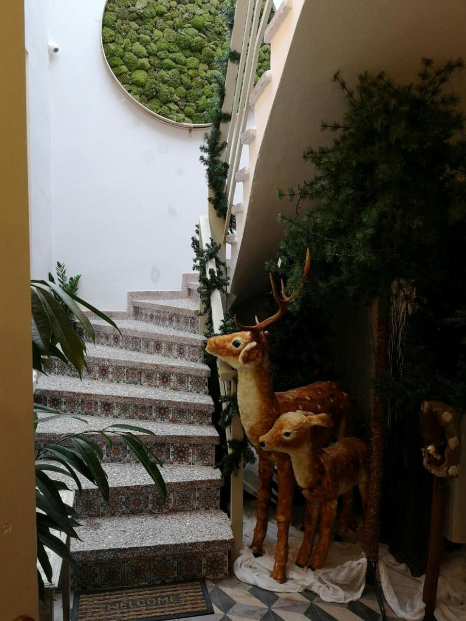 Sali Boutique Hotel アレクサンドルポリス エクステリア 写真